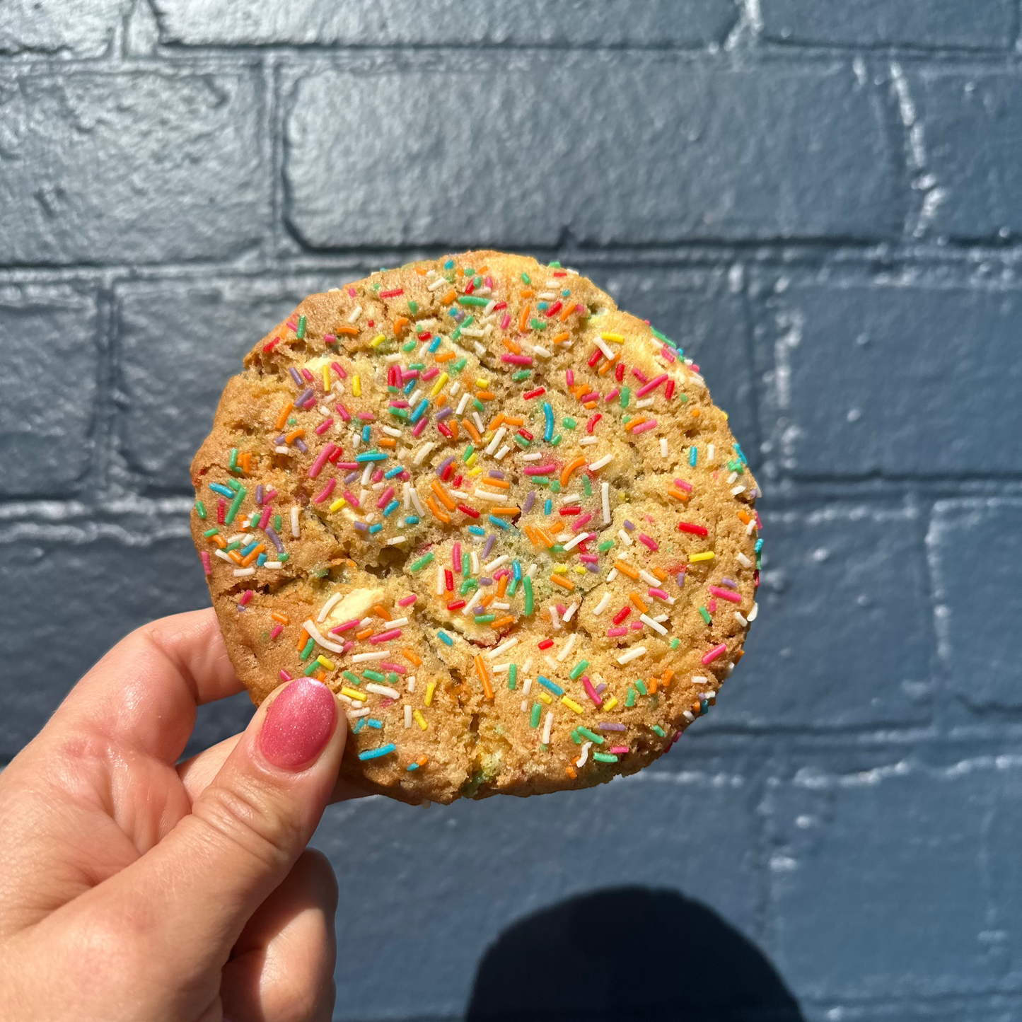 Funfetti Chonk